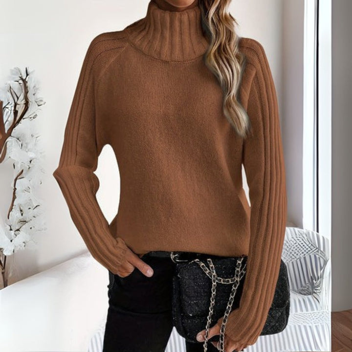 Dames Coltrui Warme Grofgebreide Turtleneck Sweater - Bruin