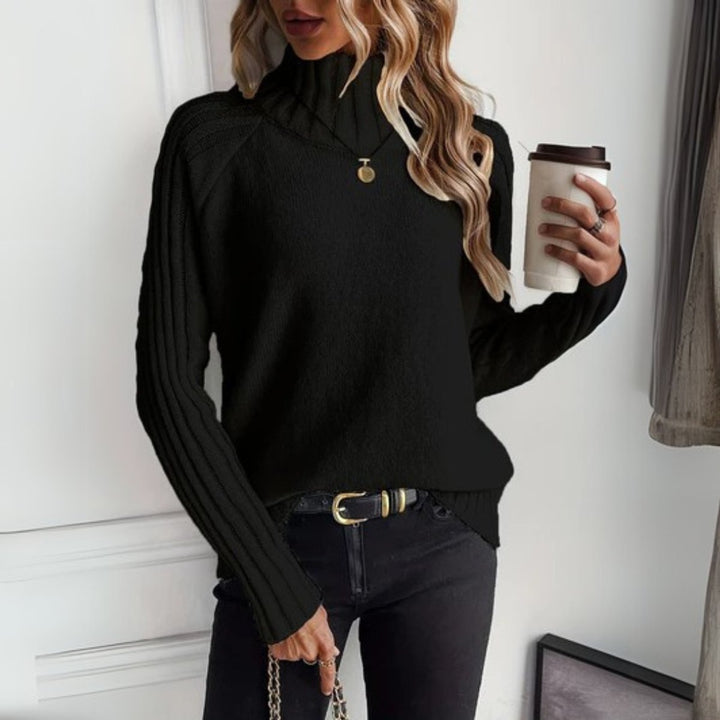 Dames Coltrui Warme Grofgebreide Turtleneck Sweater - Zwart