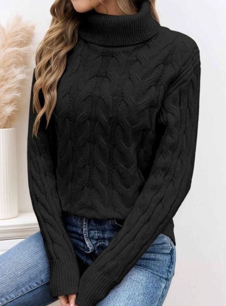 Dames Kabelgebreide Rolkraag Pullover met Lange Mouwen - Zwart