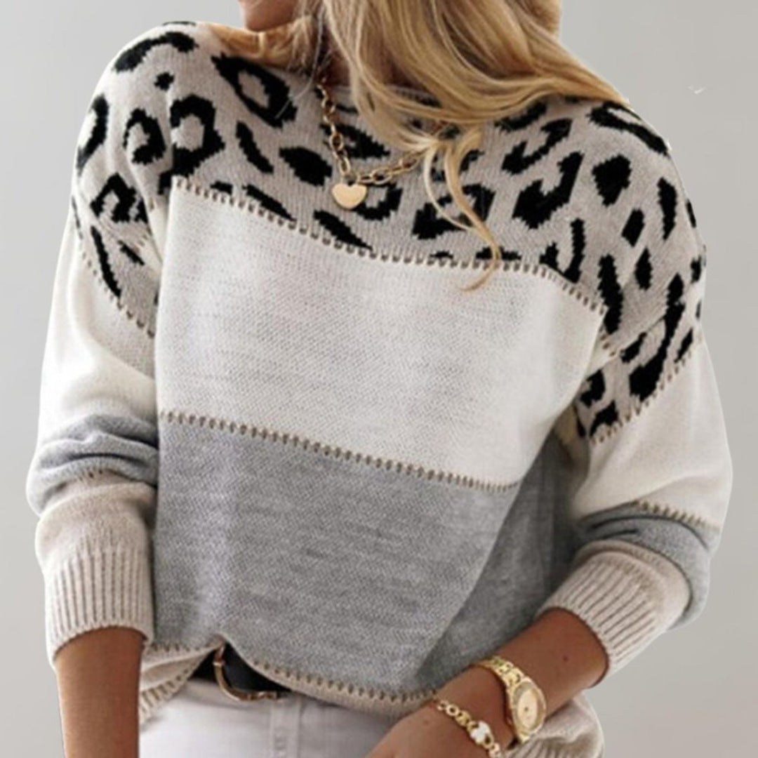 Dames Sweater Luipaardprint Colorblock Gebreide Trui