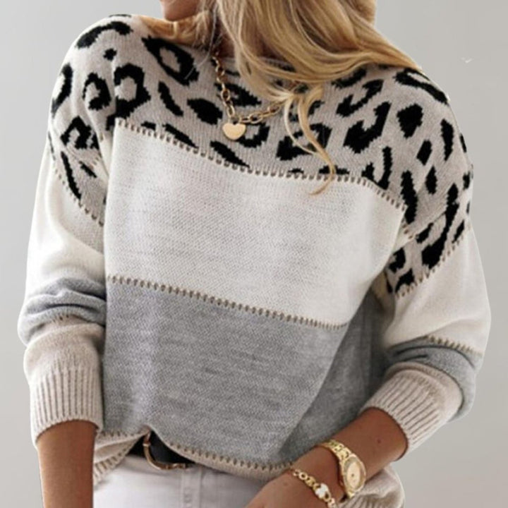Dames Sweater Luipaardprint Colorblock Gebreide Trui