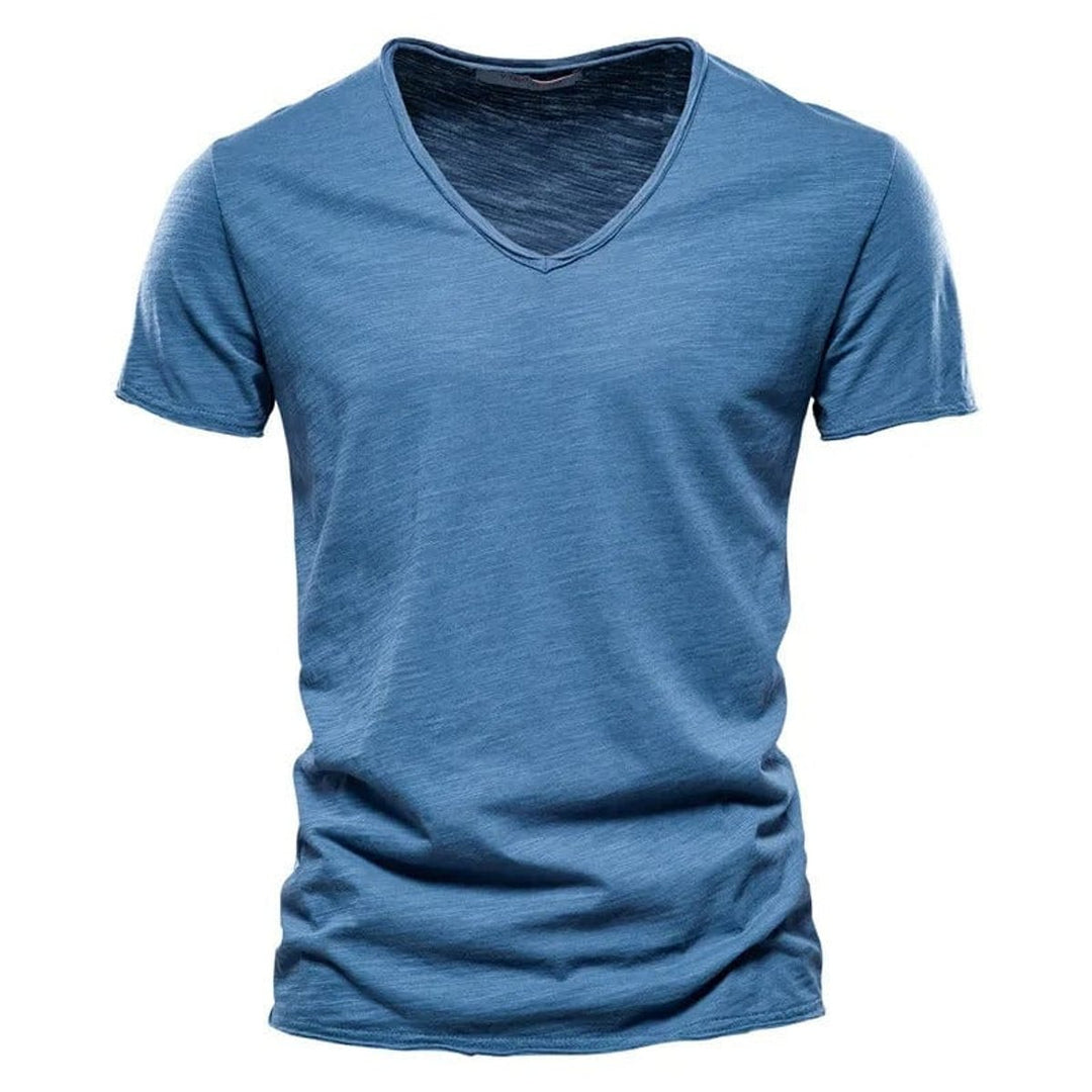 Heren Kreukvrij V-Hals Katoenen T-Shirt - Blauw