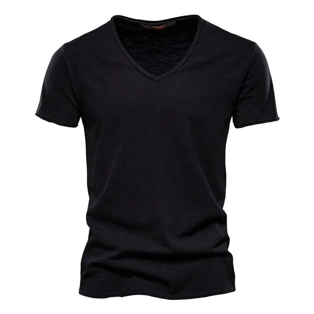 Heren Kreukvrij V-Hals Katoenen T-Shirt - Zwart